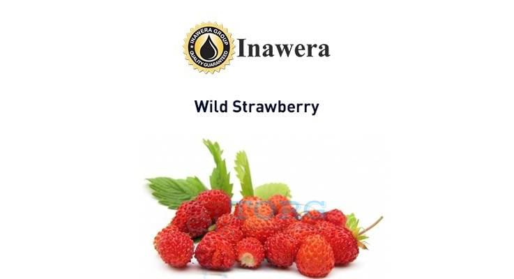 Изображение Ароматизатор Inawera Wild Strawberry Ароматизатор Inawera Wild Strawberry